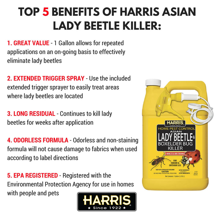 HARRIS Asian Lady Beetle, Japanese Beetle, and Box Elder Killer, Liquid Spray, Kills Roaches, Ants, Spiders & Fleas, Controls Heavy Infestations, 3 Count, 2 Ounce Pack of 2