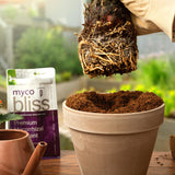 Myco Bliss - Mycorrhizal Inoculant for Plants - 5 Superior Strains - Organic Mycorrhizae Root Enhancer - Increases Nutrient Absorption & Crop Yields (2 lbs, Powder)