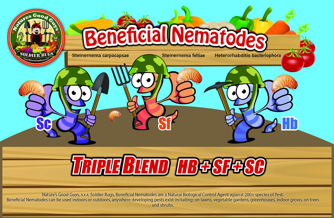 NaturesGoodGuys Beneficial Nematodes Triple Blend Pack HB+SC+SF - General Biological Pest Control (25 Million)