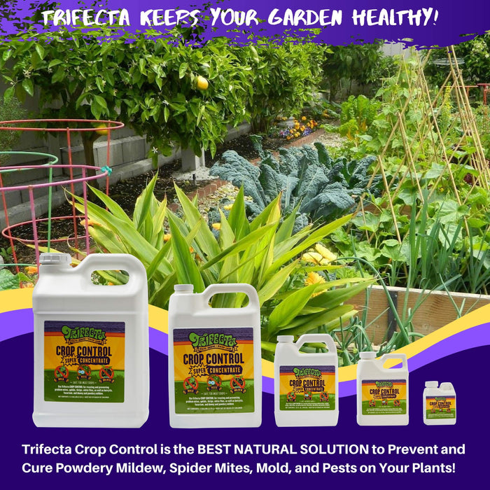 Trifecta Crop Control Super Concentrate All-in-One Natural Pesticide, Fungicide, Miticide, Insecticide, Help Defeat Spider Mites, Powdery Mildew, Botrytis, Mold, and More on Plants 2.5 Gallon