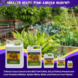Trifecta Crop Control Super Concentrate All-in-One Natural Pesticide, Fungicide, Miticide, Insecticide, Help Defeat Spider Mites, Powdery Mildew, Botrytis, Mold, and More on Plants - Gallon