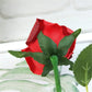 Rose Flower In Glass Bear Gift LED Lamp Glass Cover Rose Bear Valentine's Day Birthday Gift for Children Girlfriend and Mother