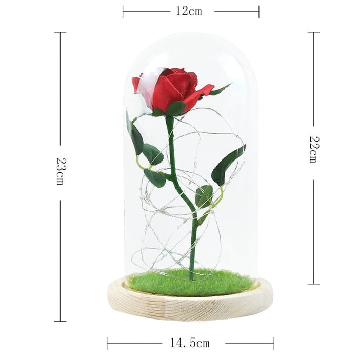 Rose Flower In Glass Bear Gift LED Lamp Glass Cover Rose Bear Valentine's Day Birthday Gift for Children Girlfriend and Mother