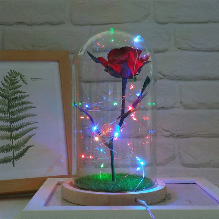 Rose Flower In Glass Bear Gift LED Lamp Glass Cover Rose Bear Valentine's Day Birthday Gift for Children Girlfriend and Mother