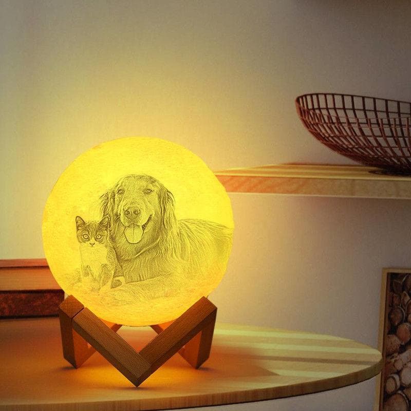 Photo Moon Lamp, Custom 3D Photo Light, Cute Pet