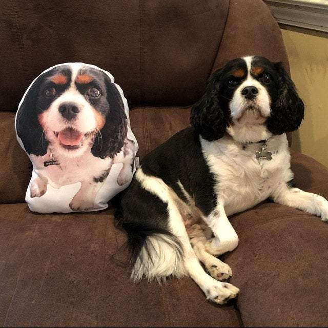 Custom Pet Pillow, Personalized Pet Pillow—Christmas /Traveling Gift