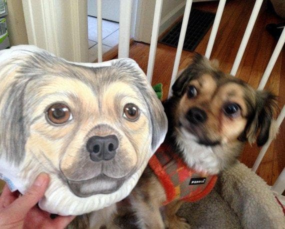 Custom Pet Portrait Face Head Shaped Pillow -- 100% Hand Drawing from photos
