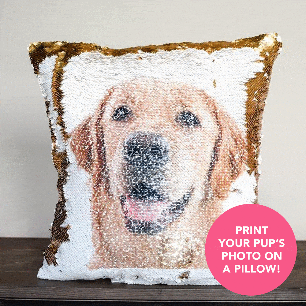 Put Your Cat's Photo On A Reversible Sequins Cushion Best Gifts For Cat Lovers