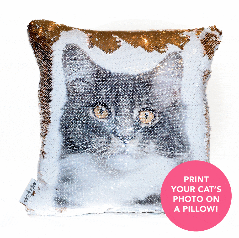 Put Your Pup's Photo On A Reversible Sequins Cushion (Best Valentine's Day Gift For Dog Lovers)